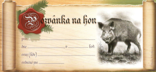 Pozvánka na hon - Černá zvěř
